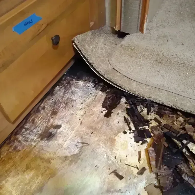 Wood Floor Water Damage in Picture Rocks, AZ